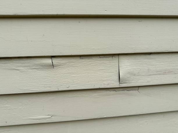 Best Construction Debris Removal  in Brownfields, LA